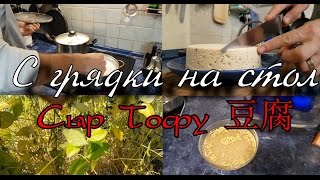 Соевый сыр тофу дома - довольно просто!