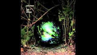 Agent Fresco - Tiger Veil