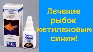 Метиленовый синий! Лечение аквариумных рыбок ! [#Аквариумные рыбки]