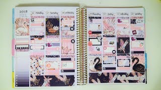 Rewind Plan With Me - My Birthday Week!