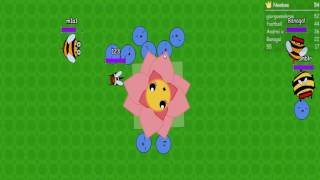 BubbleBee.io