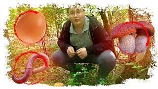 ВЫЖИВАНИЕ В ЛЕСУ /// SURVIVAL IN THE FOREST