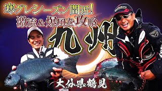 寒グレシーズン間近！激流＆爆風に負けず、グレを引き出す～大分県鶴見