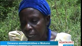 Omwana asaddaakiddwa e Mukono