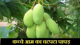 Aam Papad Recipe | Homemade Green mango Papad | (कच्चे आम का चटपटा पापड़ )
