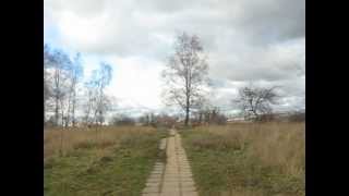 Предзимье в парке