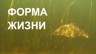 Дельта Волги. River Volga Delta.