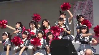 「夢へのルート」（AKB48 チーム8）＠福山ばら祭（28.5.14）