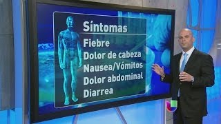 Brote de salmonella se extendió a 20 estados - Cita con tu Salud