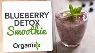 Blueberry Detox Smoothie | Smoothie with Sprouts | Best Detox Smoothie Recipes | Organixx Recipes