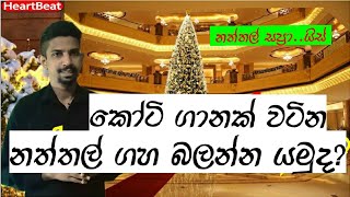 ලෝකේ වටිනාම නත්තල් ගස හැදෙන විදිහ ? | most valuable christmas trees in the world