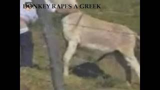 Donkey rapes a greek