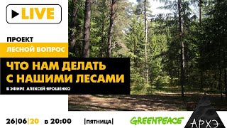 Онлайн-беседа "Что нам делать с нашими лесами" в рамках проекта "Лесной вопрос"