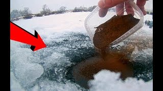 Секретная зимняя прикормка! О ней точно никто не знает! Подводная съемка