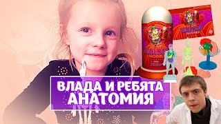 Игровой набор анатомия человека для детей. Топ туба строение организма. Влада и ребята