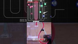 Hydrogen Fuel Cell