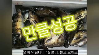 (노대도 ; 방파제) 통영 하노대도 방파제 낚시 이것이 볼락낚시지. 만쿨 가봅시다