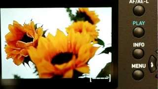 PENTAX K-01: Focus Peaking