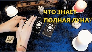Гадание на отношения и желания в полнолуние. Что знает полная луна. Таро онлайн с Ale Handro