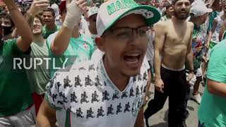 Brazil: Palmeiras fans swarm team bus in Sao Paulo as squad heads for Libertadores final