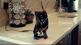 Felik - AI Pet Companion
