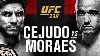 UFC 238