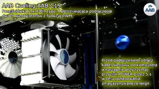 Rozgałęźnik typu Y 2 x 4 Pin PWM - AAB C19