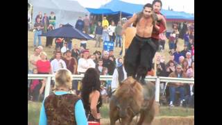 Gypsy horse acrobatics @ Washington 2010 Renaissance fair, last video