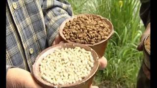 Recept na zaručenou rybí návnadu