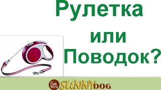 рулетка или поводок