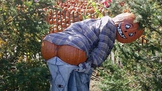 Как сделать ПУГАЛО огородное своими руками