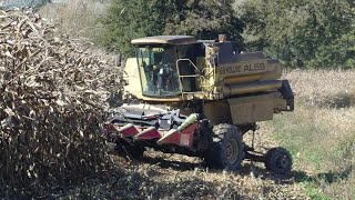 MAIS HARVEST 2K19 | NEW HOLLAND AL59 + *NEW* Maize OLIMAC 6 ROWS | JOHN DEERE 5820 | F.lli GIANSANTE