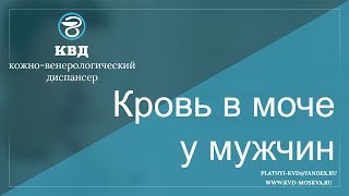 74 Кровь в моче у мужчин