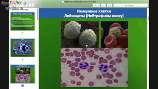 Вирусные заболевания. Вирус Герпеса, Папилломы, СПИД-а...Иммунная система. Вебинар Фролов Ю.А.