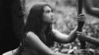 BRUJAS ( Nestor Armando Alzate )