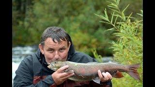 РЕКА АМЫЛ - 2017 . ЛЕНКОВЫЙ КЛЁВ. подводная съёмка . VOVAN - ФИЛЬМ .