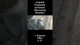  ЭкоПарк Харьков ч.72 / Забавный ДЕТЁНЫШ обезьянки / 2018 г. #shorts