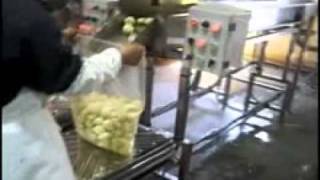 Potato Processing Plant
