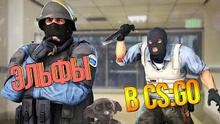 ЭЛЬФЫ В CS:GO