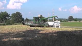 Direct Harvesting Winter Canola Visby, Daviess County, KY
