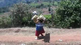 Kikuyu Lady Carrying Wood