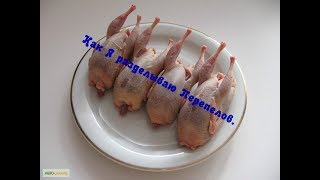 Каширское Подворье / Разделка Перепела / Как Я это делаю /