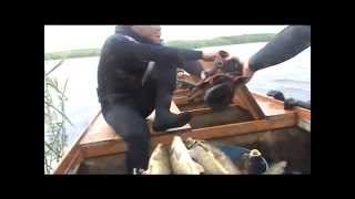 Калмыкия ... Подводная охота на Каспии ...