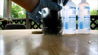Preserving a Squirrel