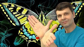 ???? Теория Хаоса + Эффект бабочки = Море бесплатной энергии!!! Butterfly Effect