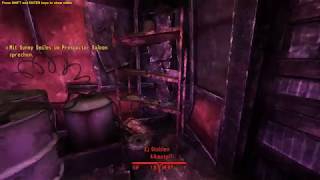 Dynamic Pipboy Light - First official test case