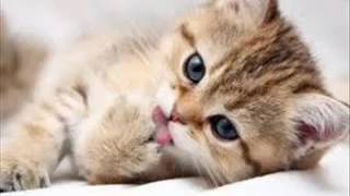 Imi sduc aminte cand....