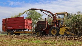 New Holland 1880 & Kaweco SPFH | Haksel'n in de Heide | 9 classic maize harvesters