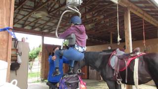 SureHands Equestrian Lift Mounting