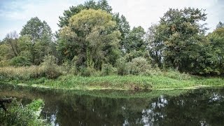 Усадьба Лесная Паулинка ,природа